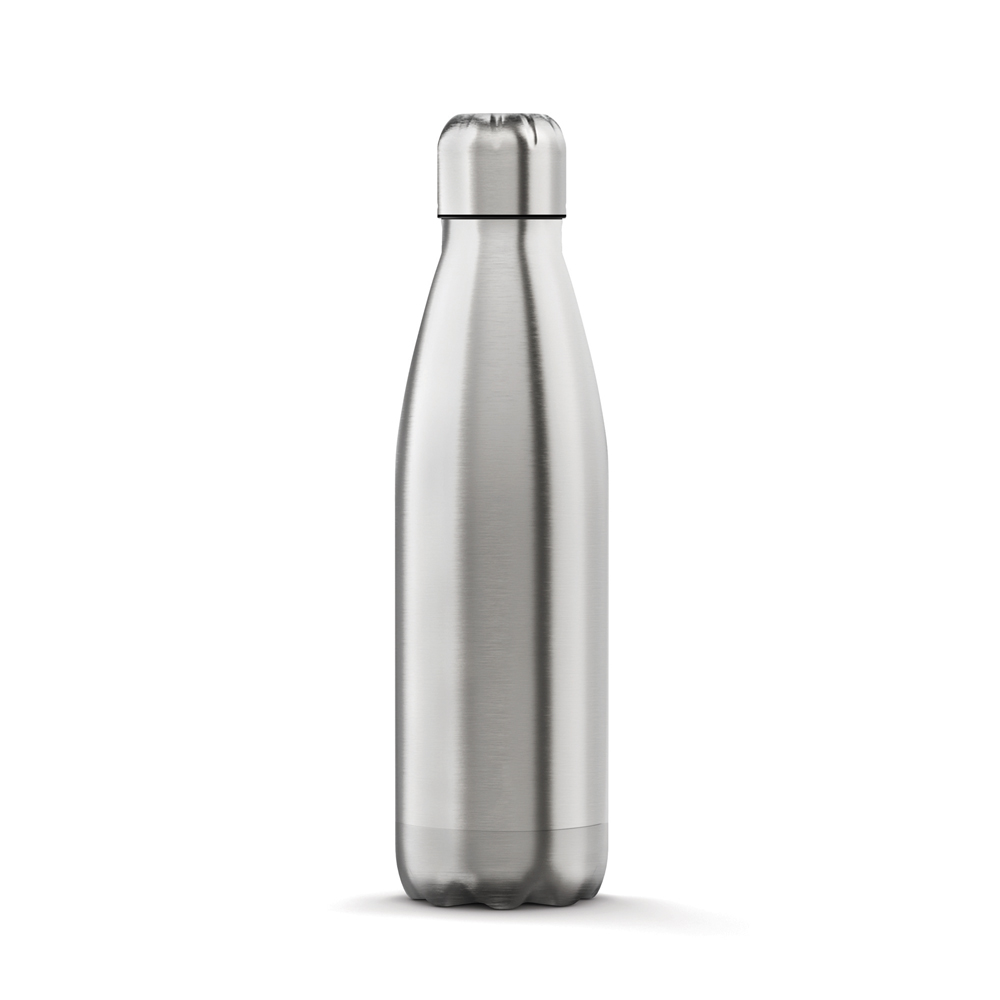 STEELBOTTLES.750.CLA.SIL