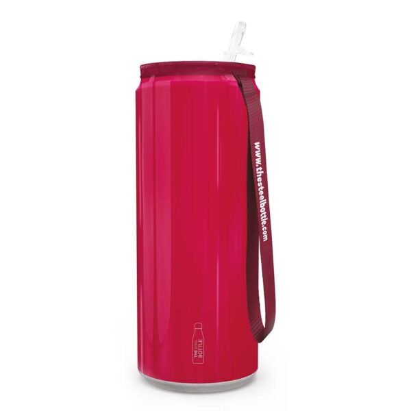 #71 Tin Raspberry